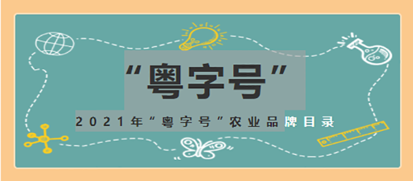 DMC1520型定梁式數控龍門(mén)加工中心